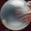 小学生最爱100个小实验——气球中的硬币“马戏表演”(陀螺仪)[No.004]